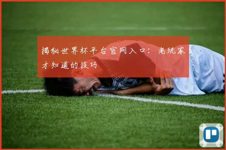 揭秘世界杯平台官网入口：老玩家才知道的技巧